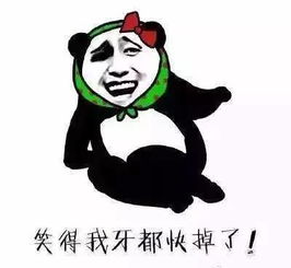  新年第一锅毒鸡汤来,喝
