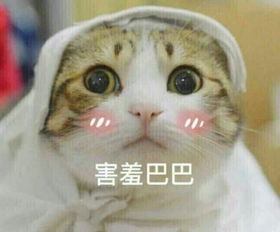  男生最喜欢什么样的女生