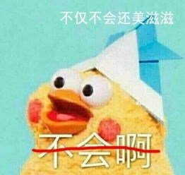 微臣做不到啊表情包鹦鹉