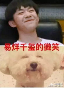  你以为你懂爱