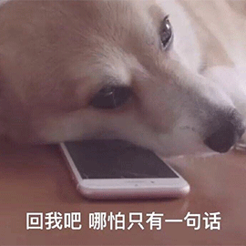 骂人动态表情包舔狗
