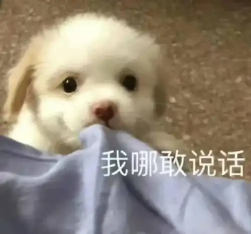  我哥哥刚发了车厘子,你来蹭什么热度