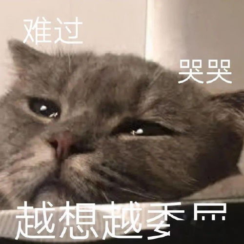  表情包动图你再说一遍