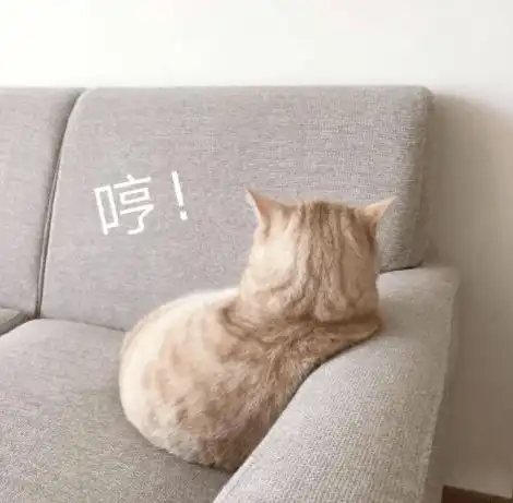  我小猫咪只负责萌,你只负责宠第86期喵表情