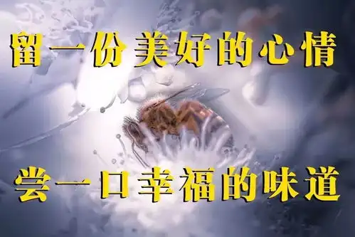 中老年表情包早安图片早上好图片表情大全中午好表情图 中老年表情包早安图片早上好图片表情大全中午好表情图