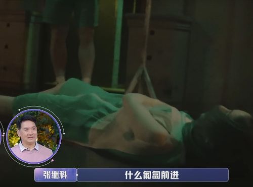 金晨为了过关当场撩裙子,张继科的表情亮了,怪不得金爸看不上他 金晨为了过关当场撩裙子,张继科的表情亮了,怪不得金爸看不上他