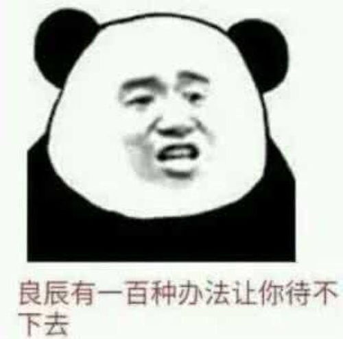  金馆长张学友动态搞笑可爱表情图包一揽及背后故事