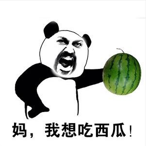 跟父母要钱表情包 跟父母要钱表情包