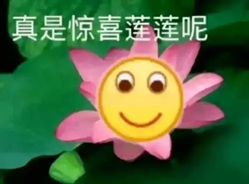 花了5万多,买的竟是一套纸沙发 花了5万多,买的竟是一套纸沙发