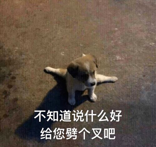 没钱了图片表情包老师辛
