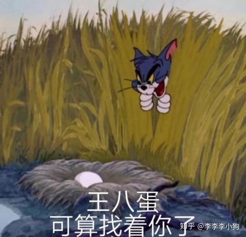  可以分享一些高端骂人的表情包么