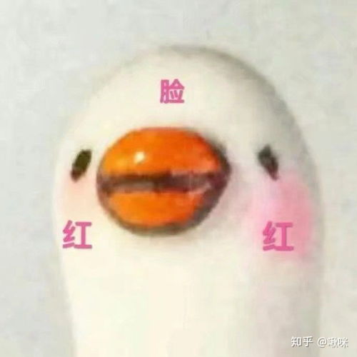  b站有哪些实力与粉丝不匹配的up