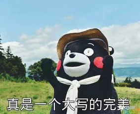 咬死你表情包壁虎
