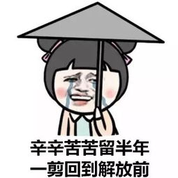  剪头发搞笑表情包
