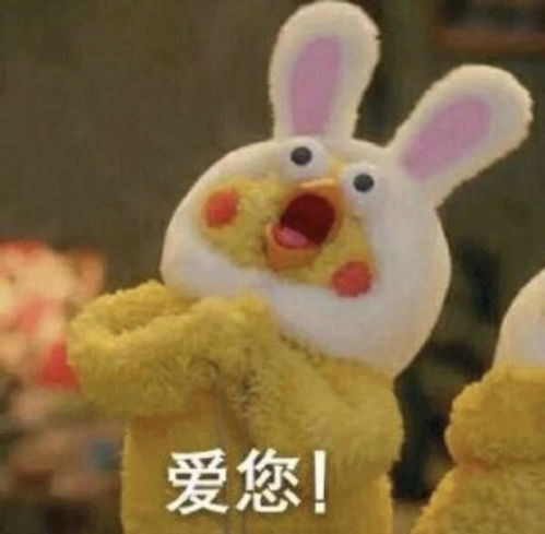  好迷茫走到人生岔路口国内大厂or美国坚持找工作