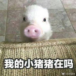  kus健身的微博微博