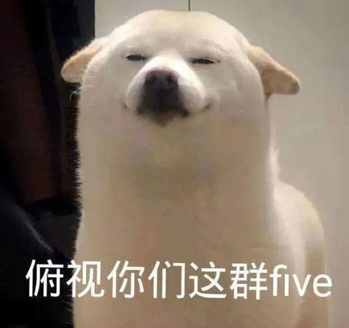  斗图怼人沙雕表情包,无语表情包可爱0325期