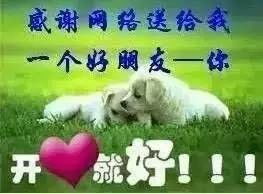  认真扯淡有一种逻辑叫做爸妈逻辑,不得不服