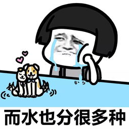  表情丨你所学的专业和以后的就业,咋差别这么大动图晃啊晃