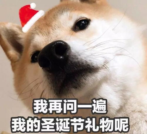  限量门票免费送2019跨年狂欢强势来袭,古滇星光节等你来嗨