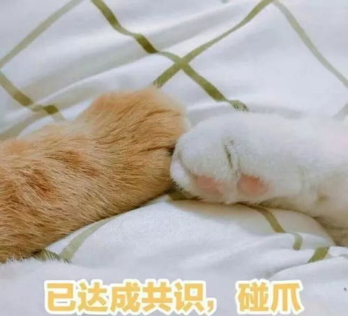 卖萌表情包动漫刘直