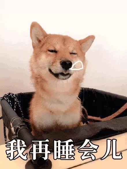 恶之花记者无语表情包柴
