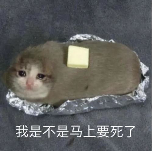  夫妻幽默段子大全爆笑3