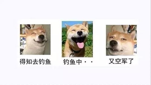  钓鱼人必备的表情包,手有图心不慌